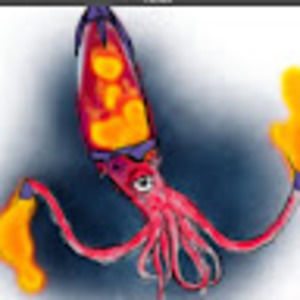 Meet your Posher, Lavasquid